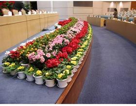 花卉租賃